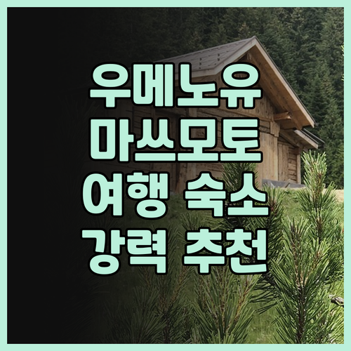 우메노유 후기 마쓰모토 여행의 숨겨진