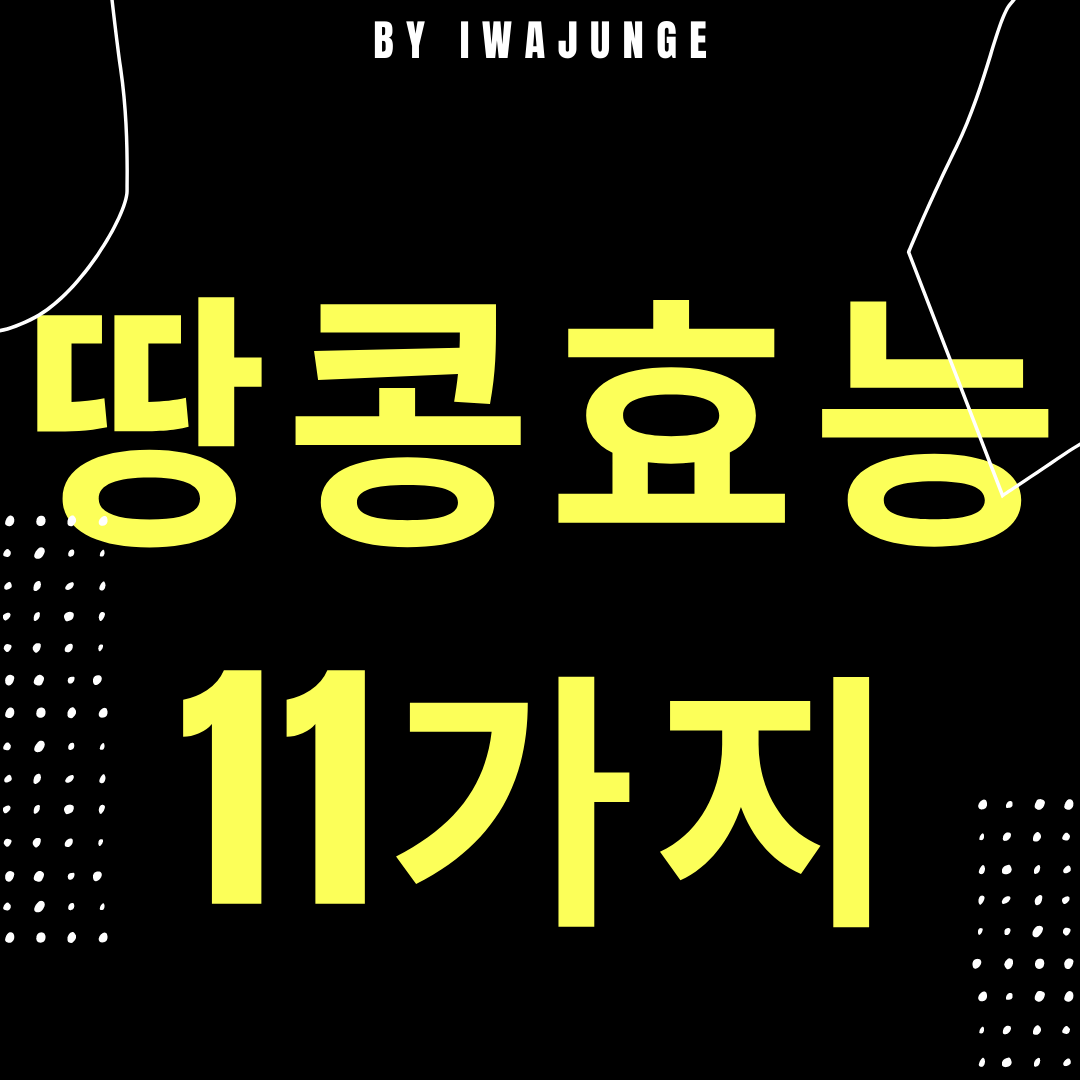 땅콩 효능 11가지