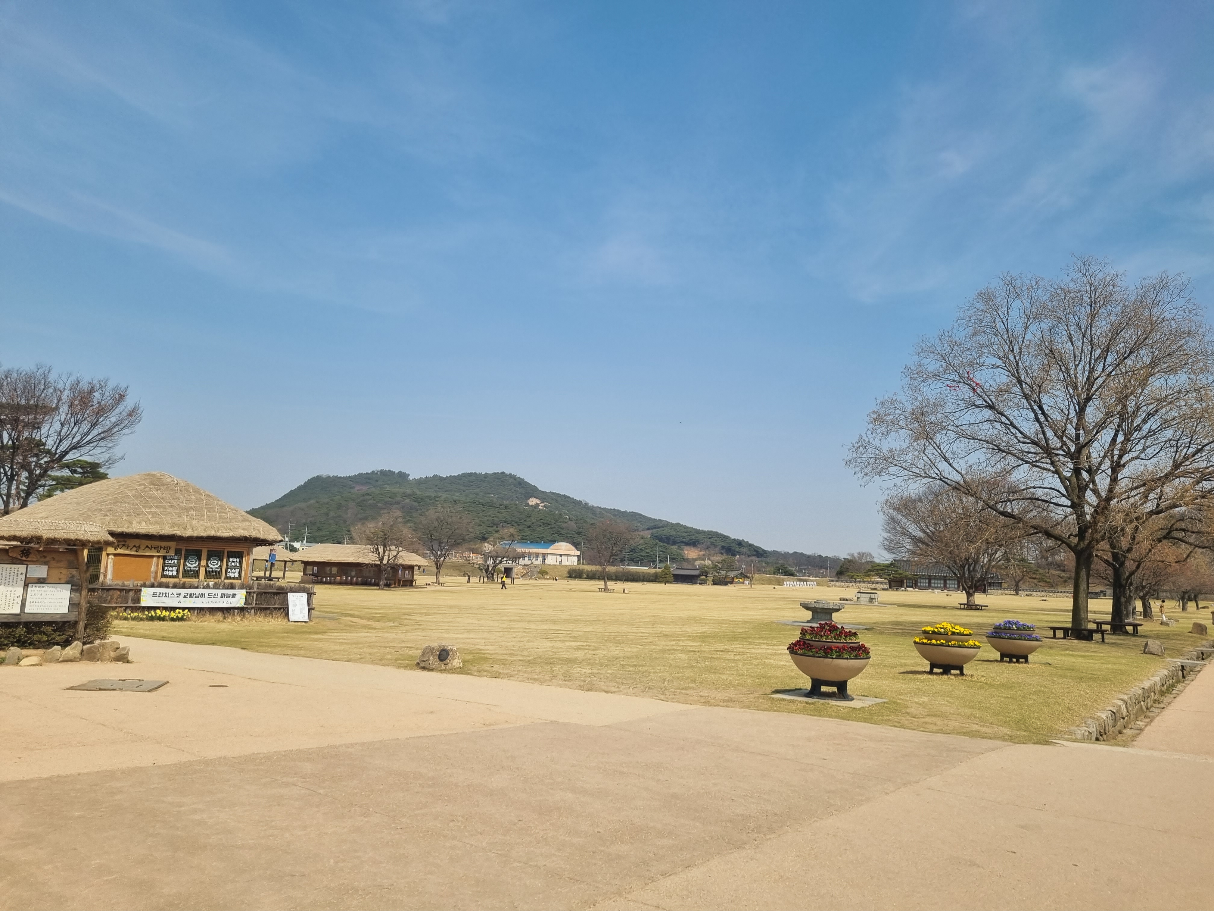 해미천 벚꽃 축제