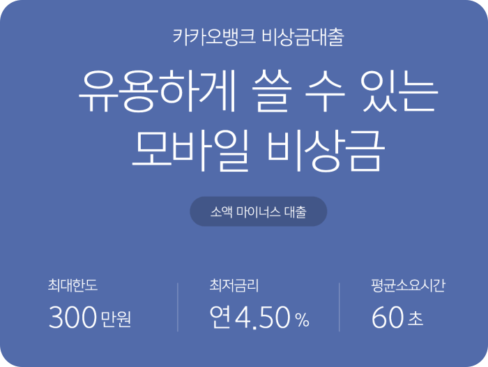 카카오 뱅크 비상금 대출