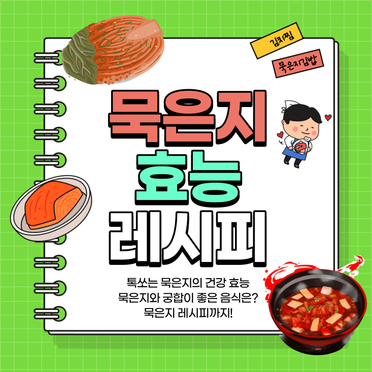 묵은지 요리 효능 묵은지와 궁합 좋은 음식 및 레시피