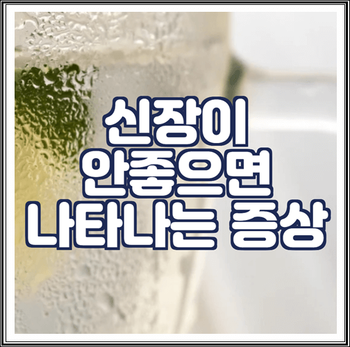  신장이 안좋으면 나타나는 증상 6가지 정리