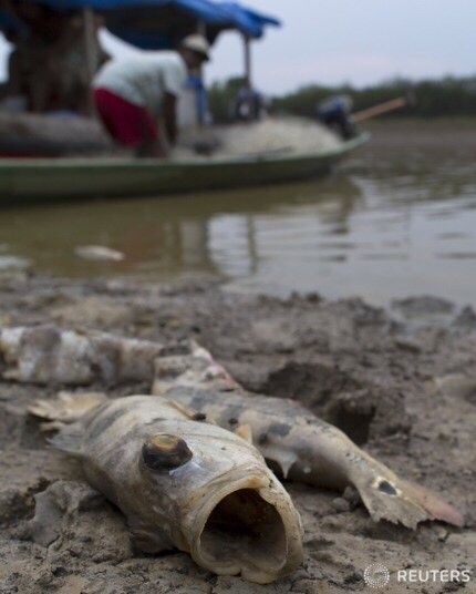 최악의 아마존 가뭄