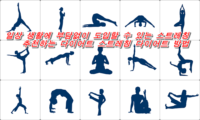  일상 생활에 부담없이 도입할 수 있는 스트레칭이 추천하는 다이어트