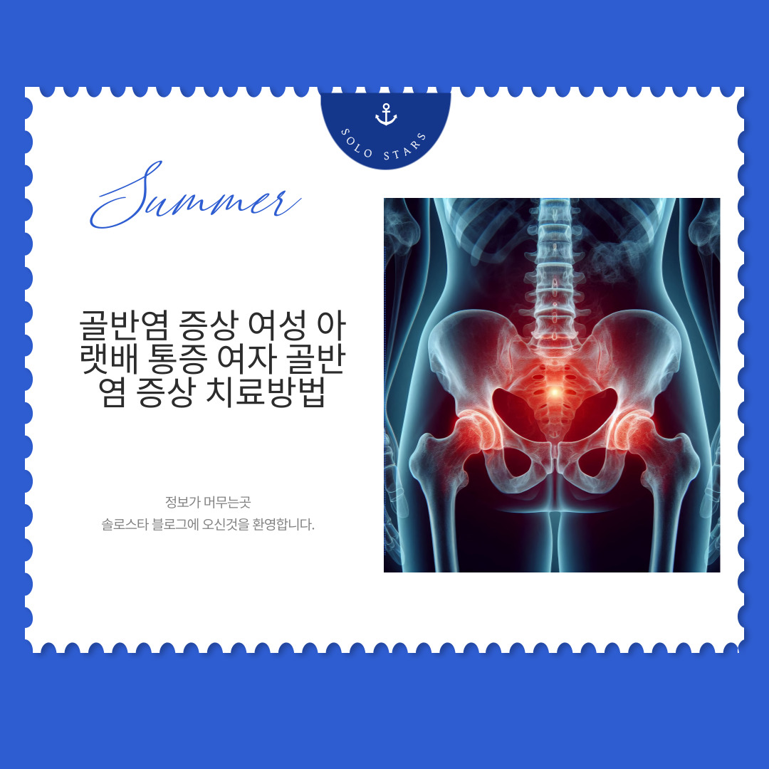 골반 사진