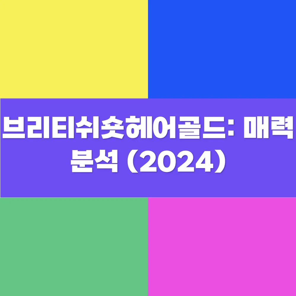 썸네일 이미지