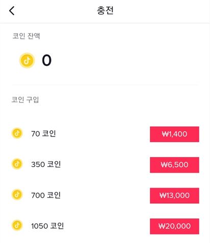  틱톡 코인 충전은 결국 중국에게 돈을 보내는 것