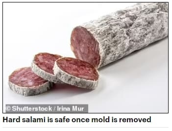 곰팡이 핀 음식 먹어도 괜찮아? Food safety expert reveals the ONLY four foods that are safe to cut mold off and eat...