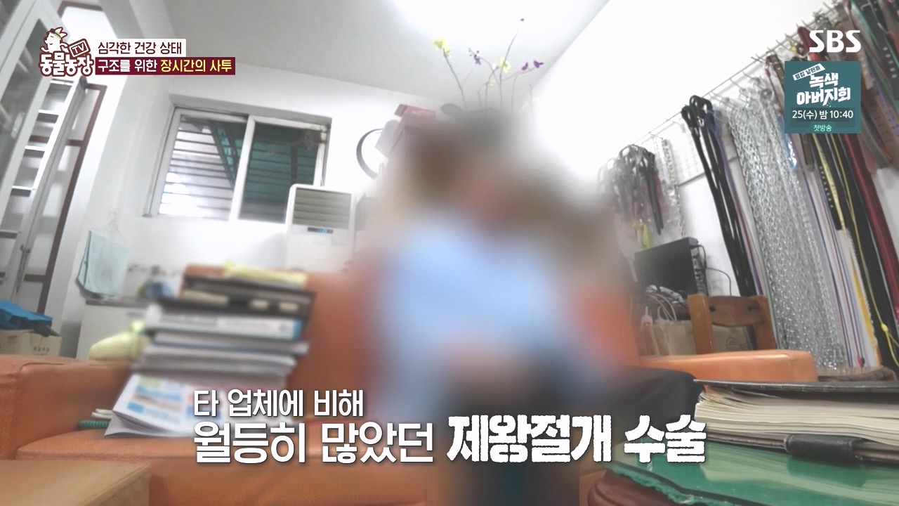 TV 동물농장.E1142.231023p-NEXT.mp4_20231022_172958.325.jpg