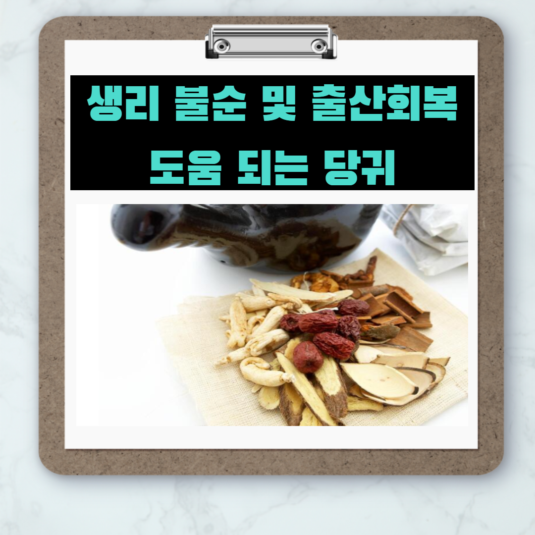  '생리통 완화'에 좋은'당귀' 효능 및 먹는방법은?