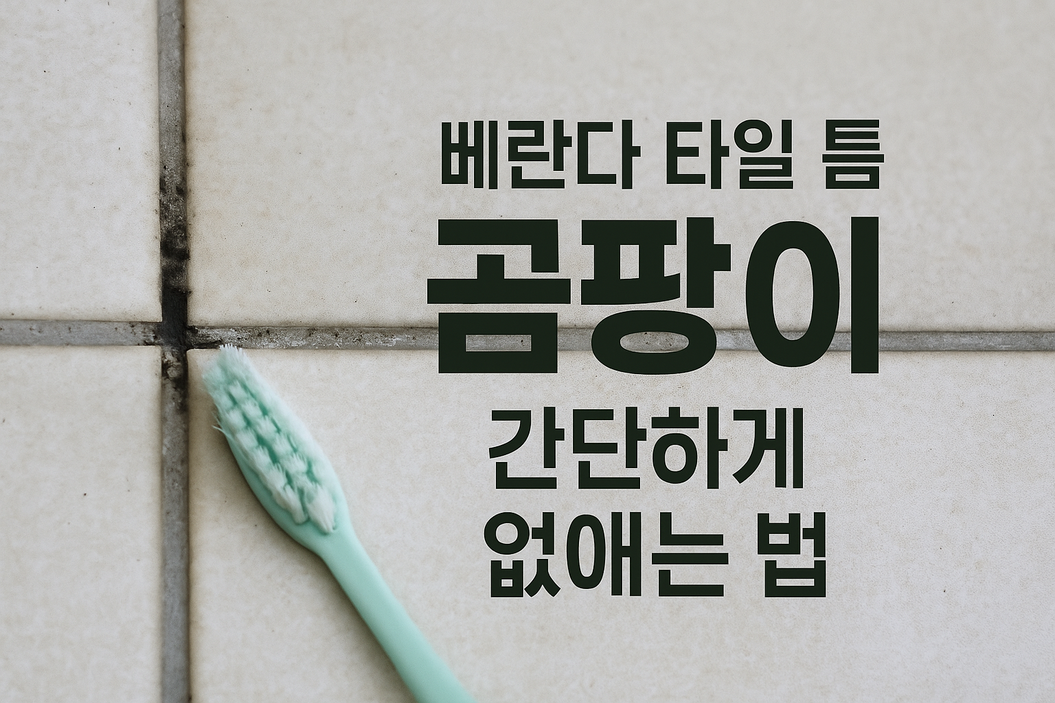 베란다 타일 곰팡이 썸네일