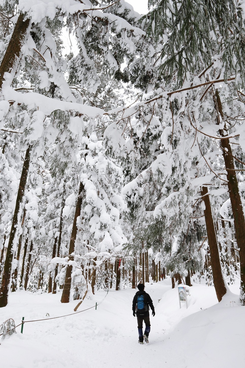 눈쌓인 겨울산 이미지 61