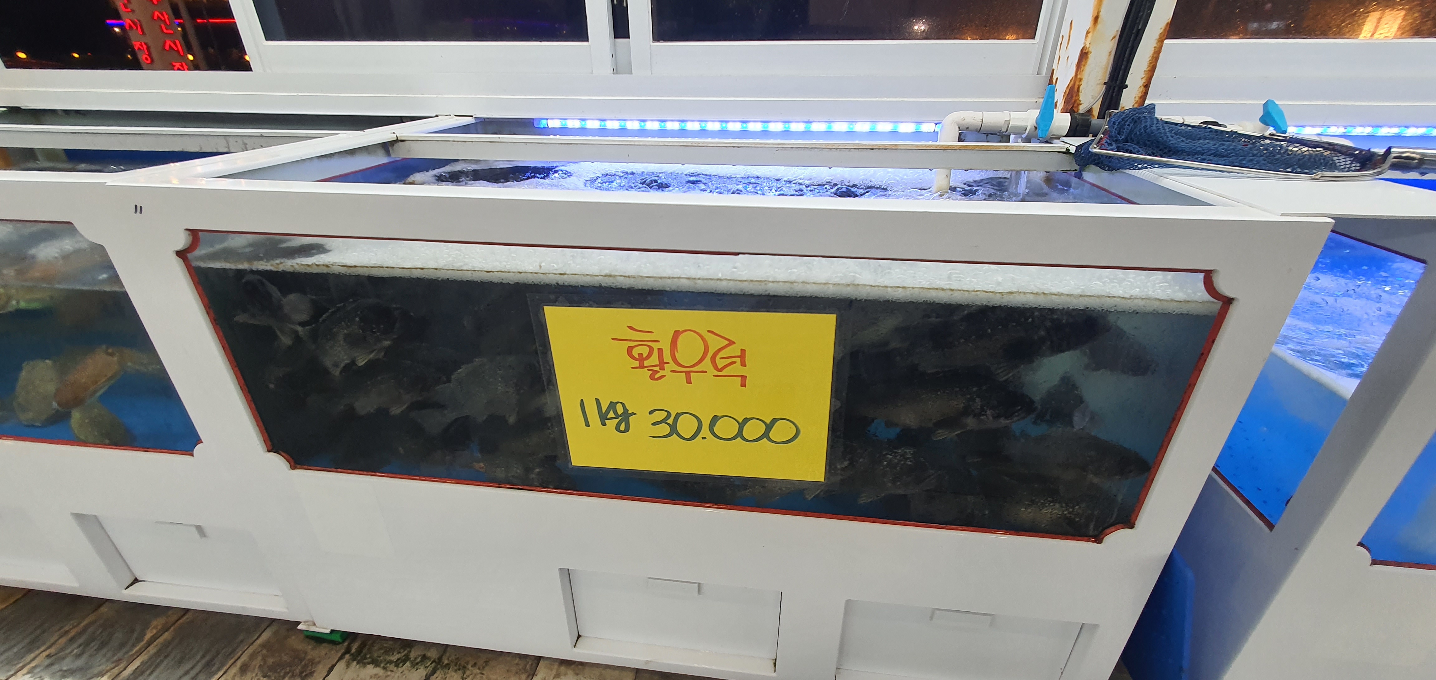 제주도 횟집