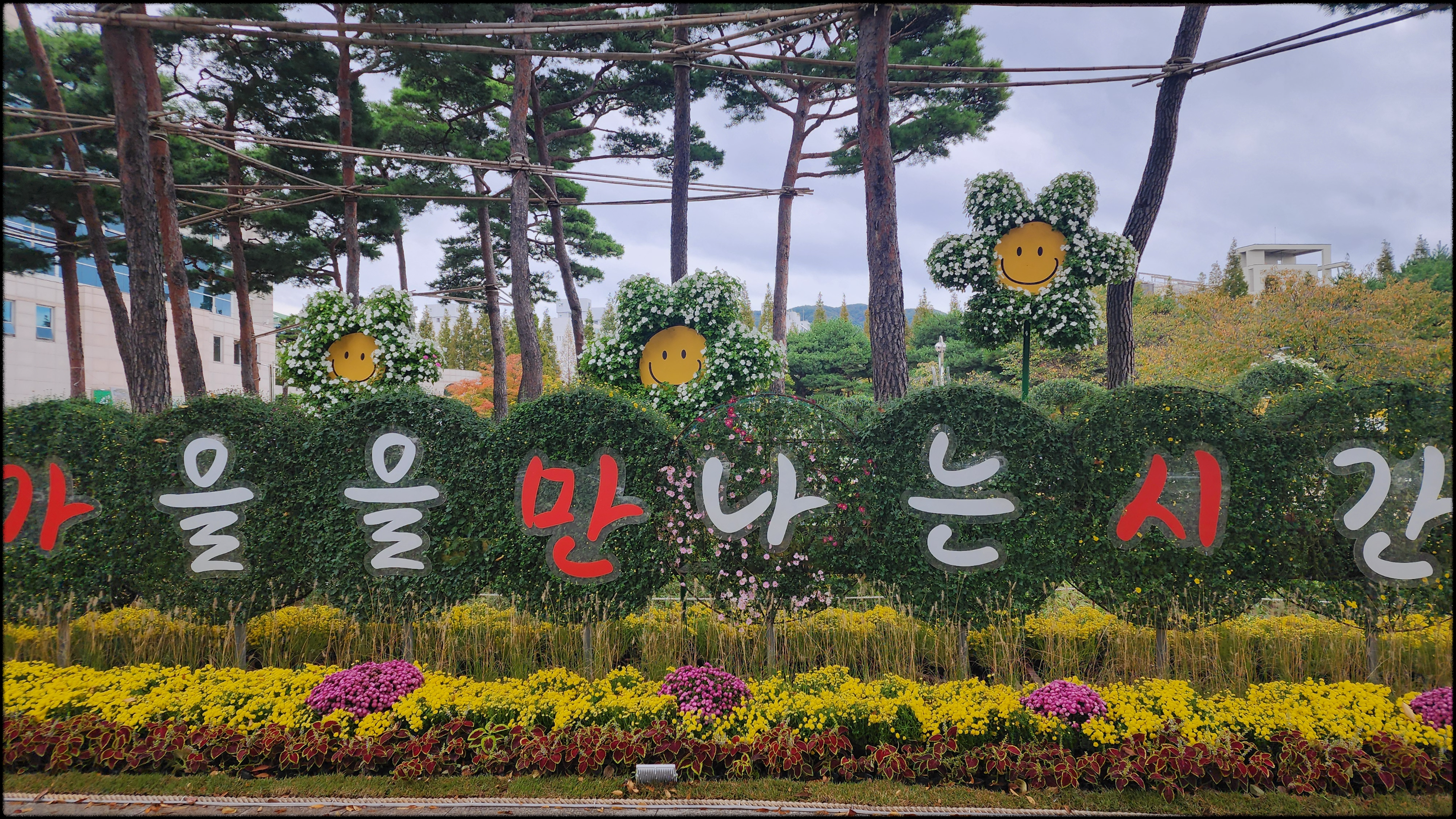 가을을 만나는 시간과 함께 하는 국화꽃