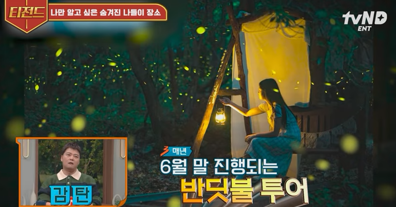여행