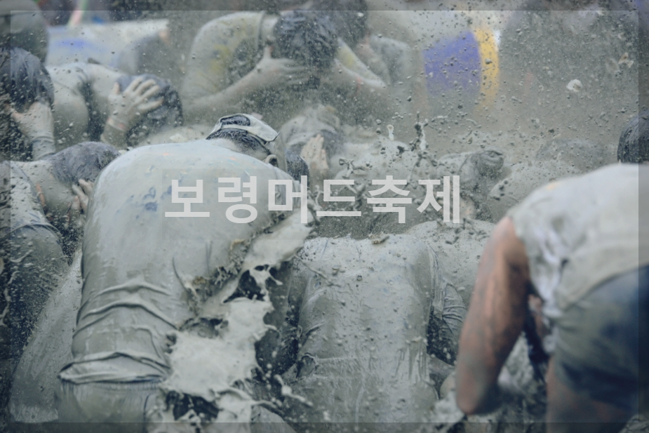  보령머드축제 : 세계 최대 규모의 머드 축제