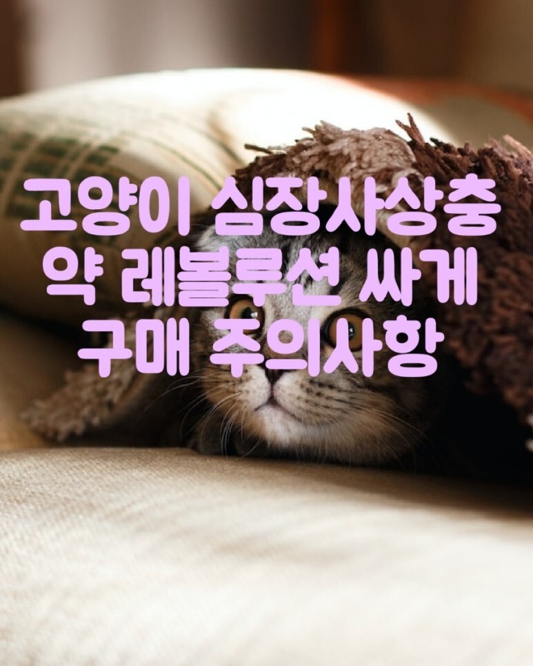 고양이 심장사상충약 레볼루션 싸게 구매해서 주의사항