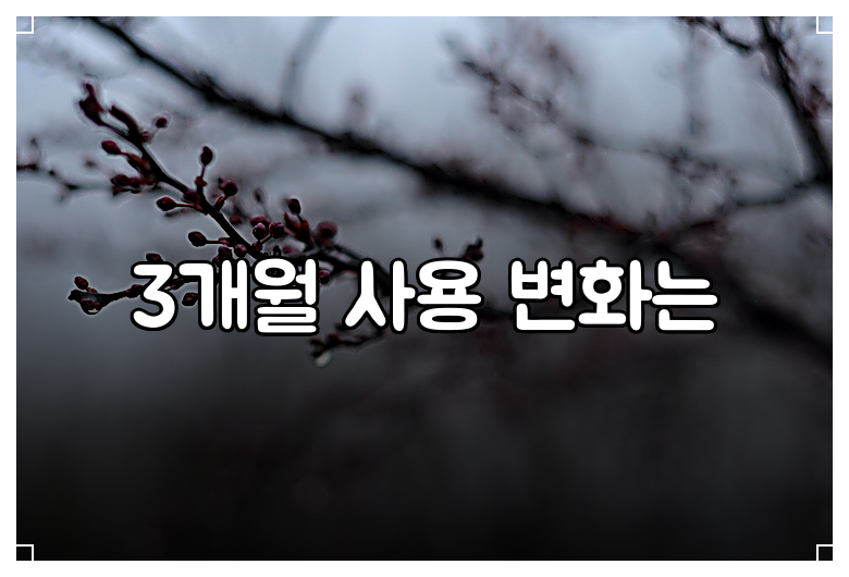 3개월 사용 변화는
