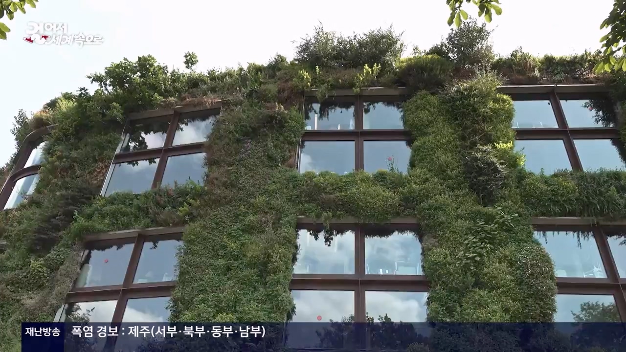 걸어서 세계속으로.E804.230806p-NEXT.mp4_20230812_180534.441.jpg