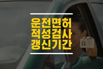 운전적성 정밀검사 사전준비 및 고득점 요령 총정리_20