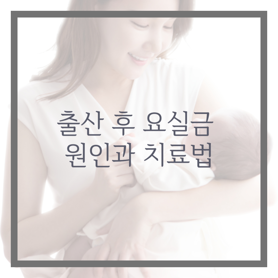 출산 후 요실금 원인과 치료법