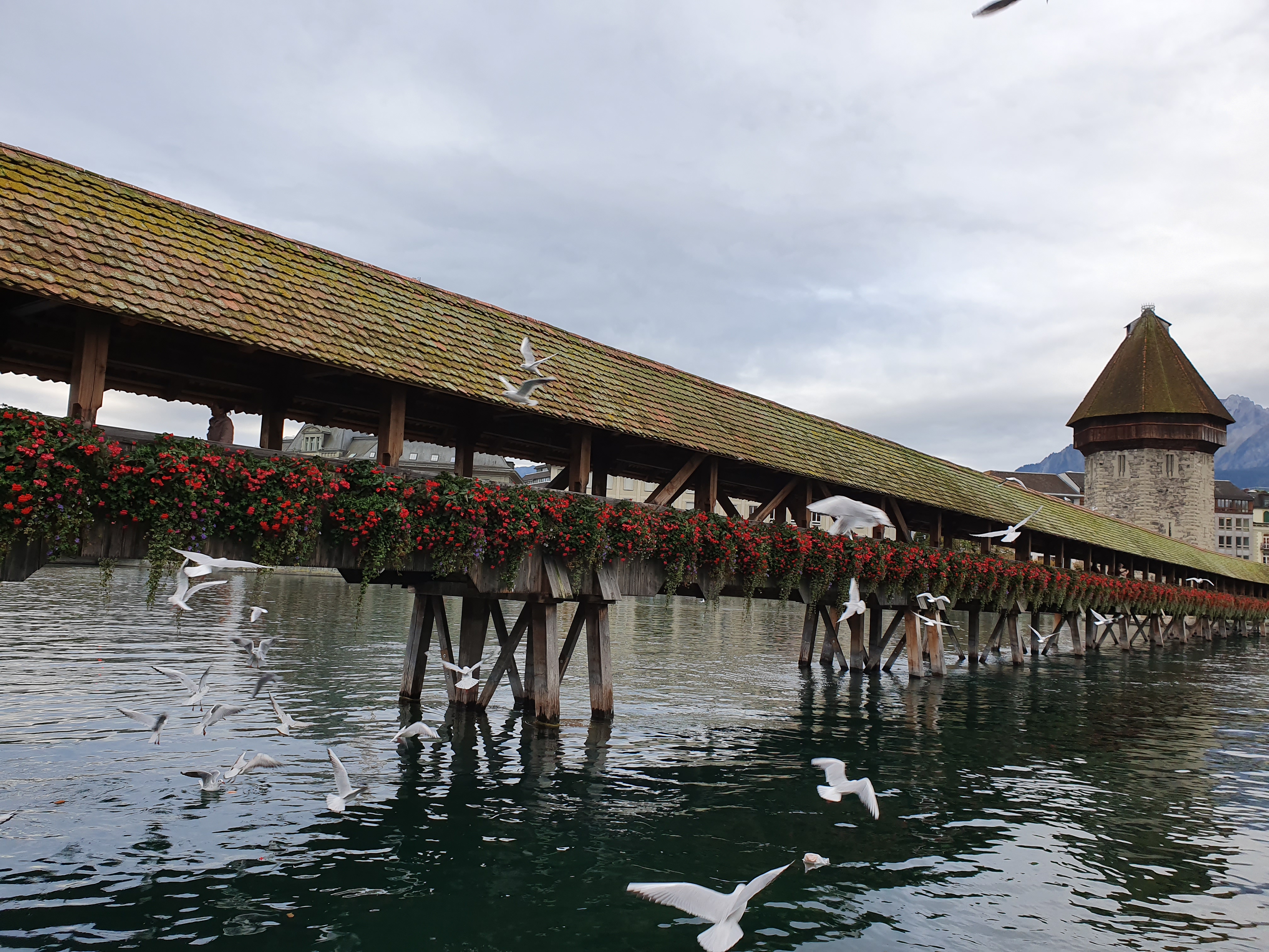 스위스 자유여행 루체른 호수 카펠교 05