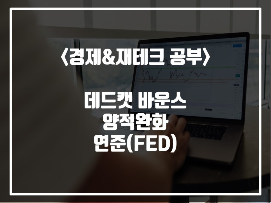  양적완화｜ 데드캣 바운스(Dead cat Bounce)｜연준(FED)