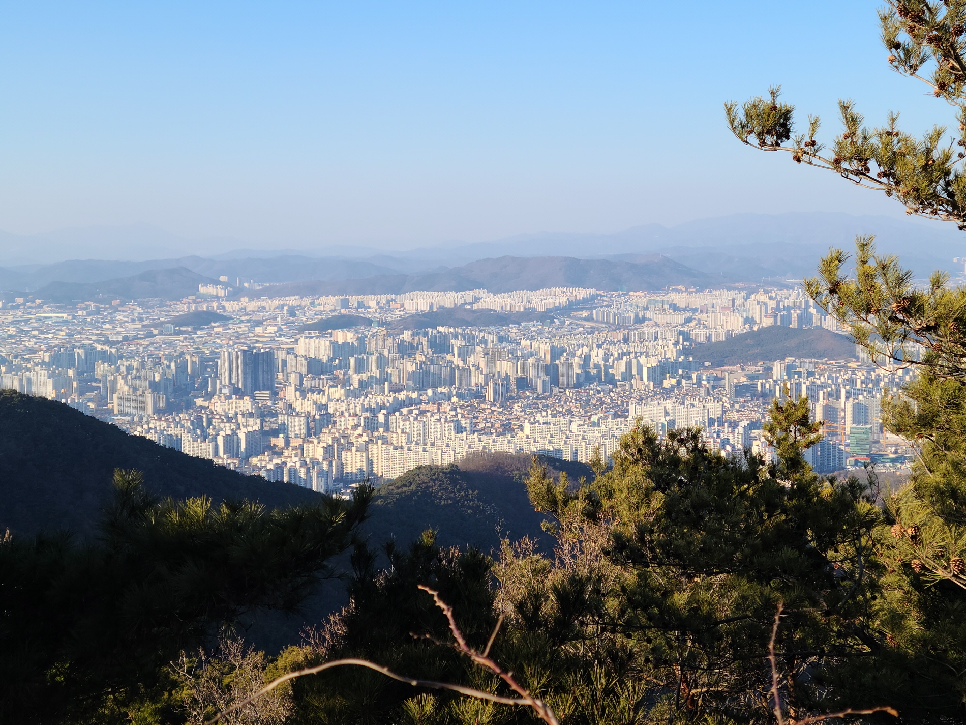  대구 삼필봉 [도원지~삼필봉<증봉>~수밭마을]