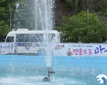 서천 자연산 광어 도미축제_18