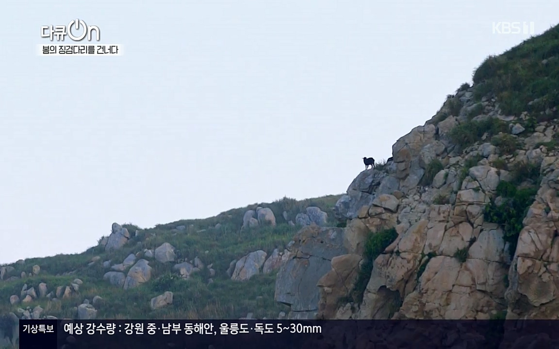다큐 온.E132.220326p-NEXT.mp4_20220403_181711.854.jpg