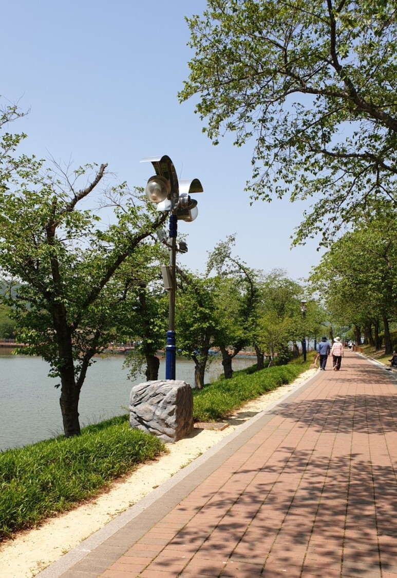 경주 힐튼에서 점심먹고 소회시킬 겸 걷는 중인 부모님.