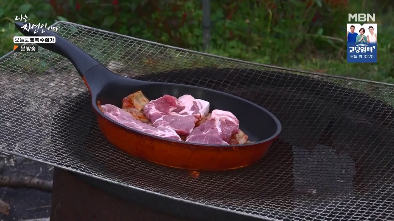 나는 자연인이다.E578.231102p-NEXT.mp4_20231102_202937.440.jpg