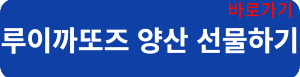 루이까또즈 양산