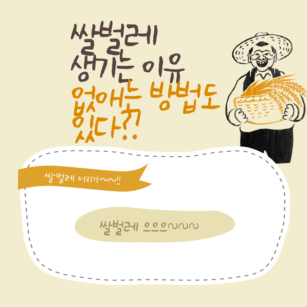  쌀벌레 생기는 이유와 없애는 방법 (간단 총정리)