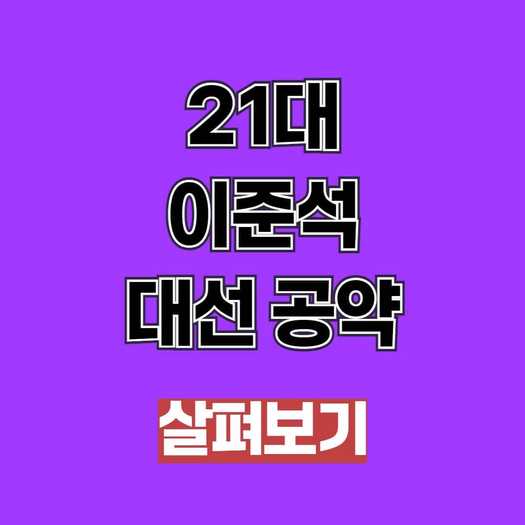 이준석 대선 공약 개혁신당 21대 대통령선거 총정리
