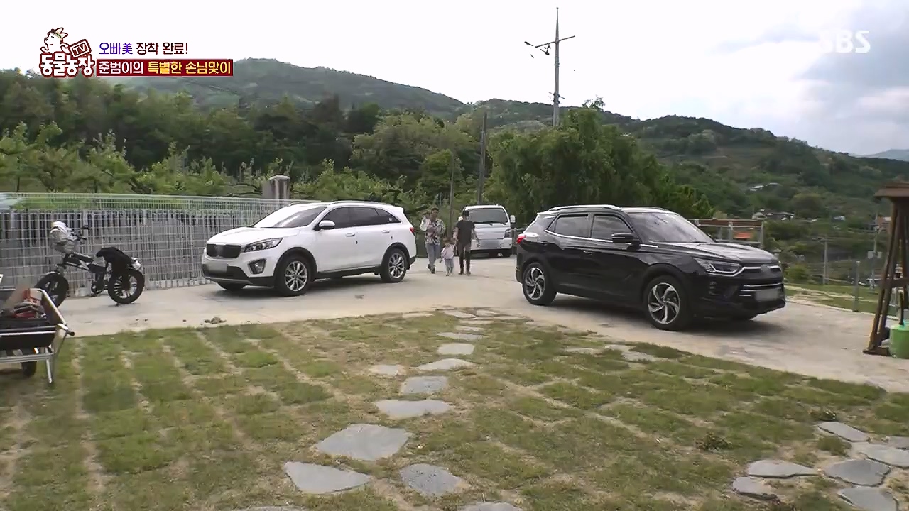 TV 동물농장.E1178.240630.ts_20240630_164643.345.jpg
