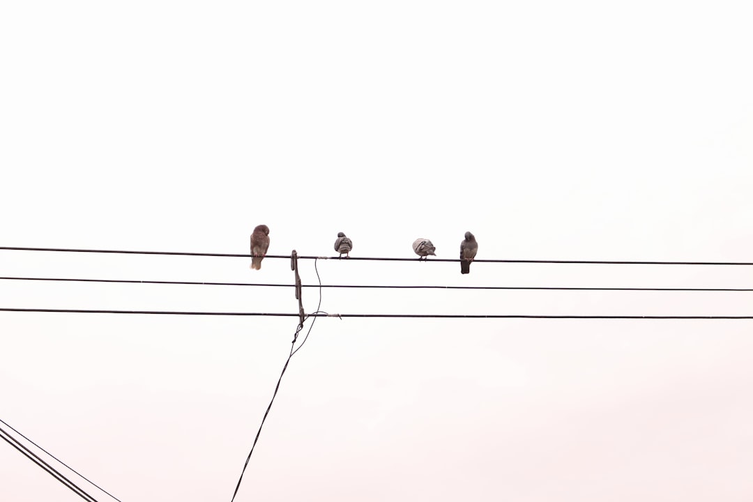 Intermittent