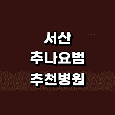 서산시 추나