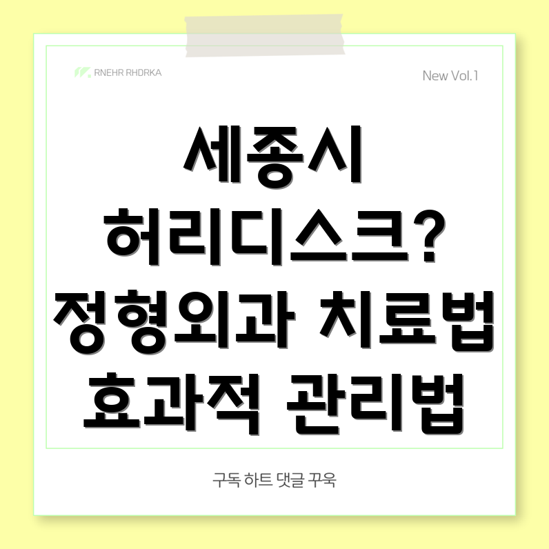 세종시 허리디스크