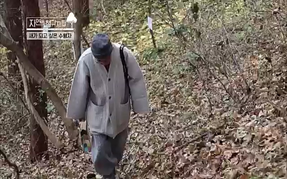 [3회] 자연의 철학자들 - KBS새처럼 살고 싶어라] 자연이라는 위대한 법당에서 숲의 울림, 새들의 소리를 들으며 깨달음을 얻은 도연 스님.ts_20220320_153553.295.jpg