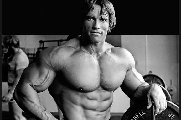  홈 트레이닝 루틴 아놀드 슈워제네거 운동법
