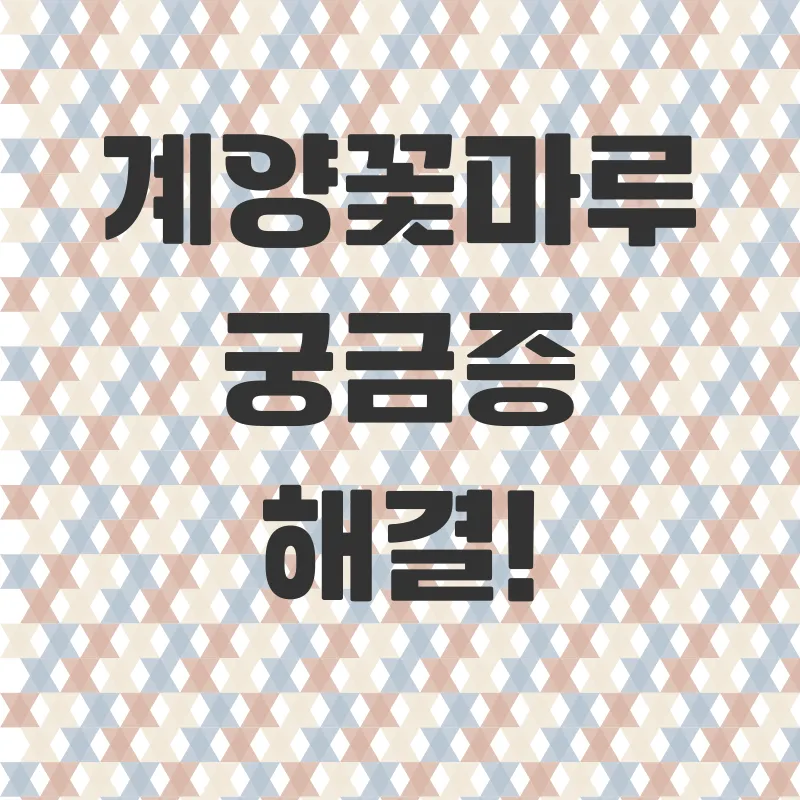계양꽃마루 가을 코스모스_4