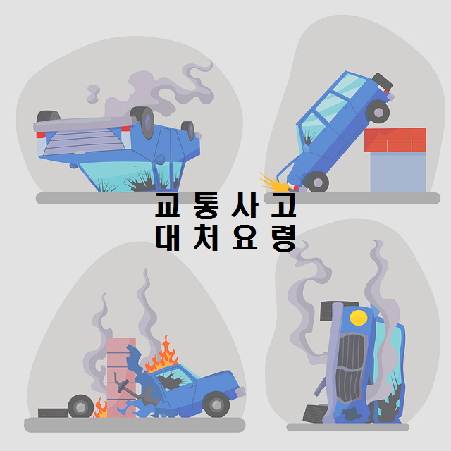  노다지네 잡학다식
