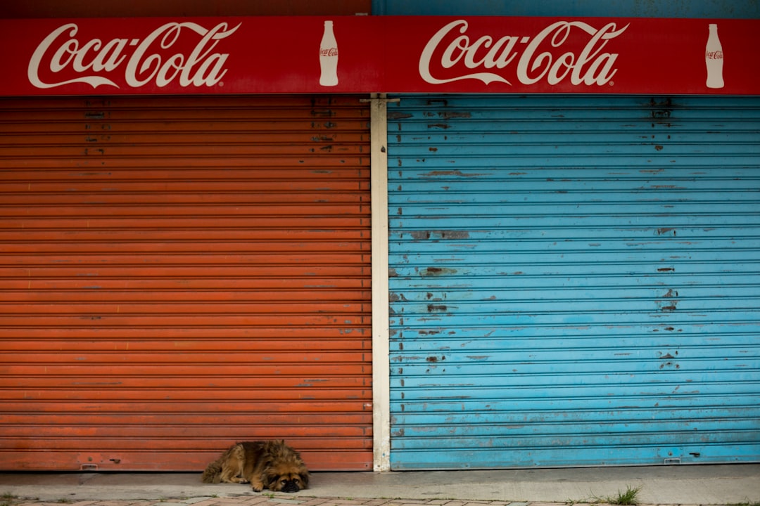 Pet door.
