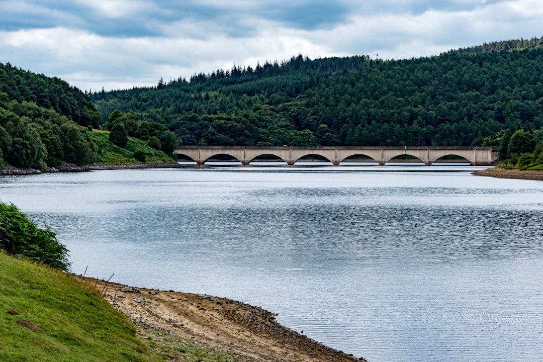 Yangwo Reservoir