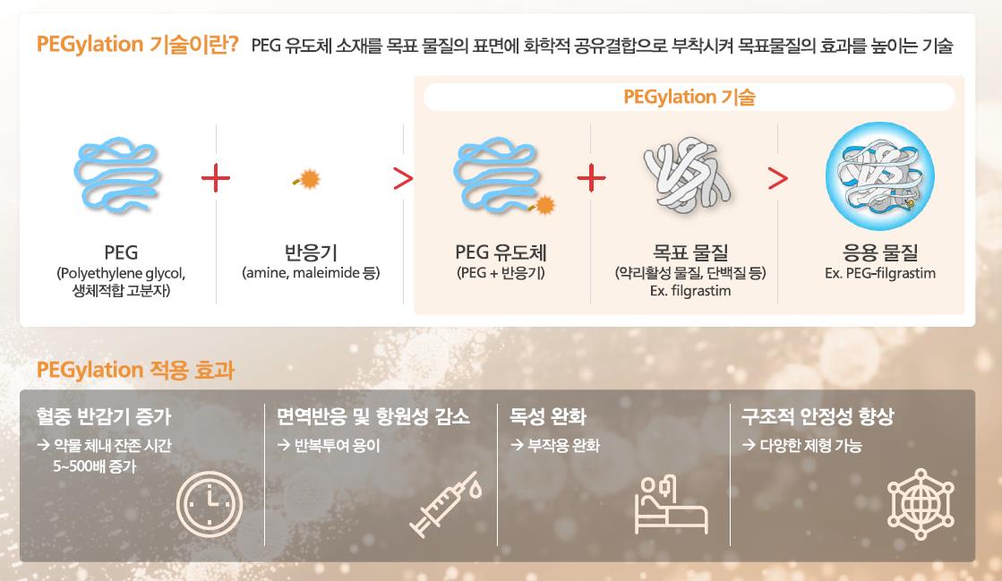 PEGylation 기술이란.