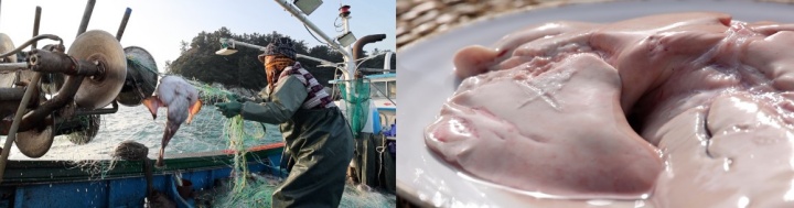 한국인의밥상-여수-안도-아귀-애