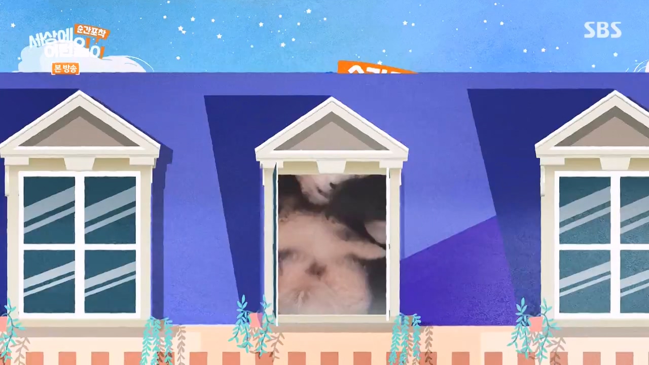 순간포착 세상에 이런일이.E1269.240317p-NEXT.mp4_20240317_163611.826.jpg