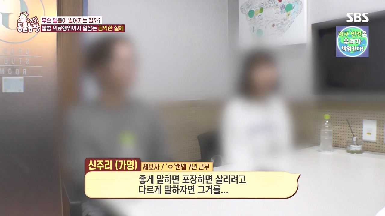 TV 동물농장.E1142.231023p-NEXT.mp4_20231022_172325.767.jpg
