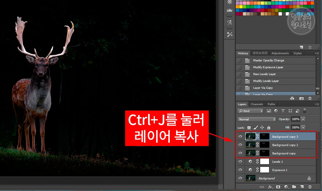 포토샵 레이어 복사